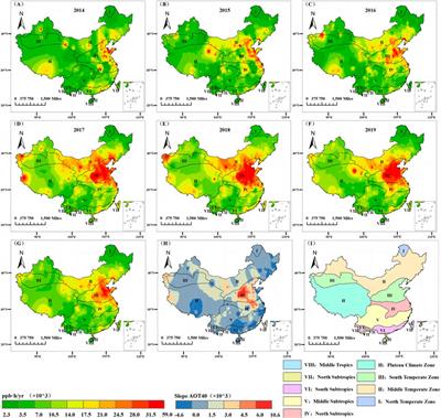 A remote sensing based method for assessing the impact of O3 on the net primary productivity of terrestrial ecosystems in China